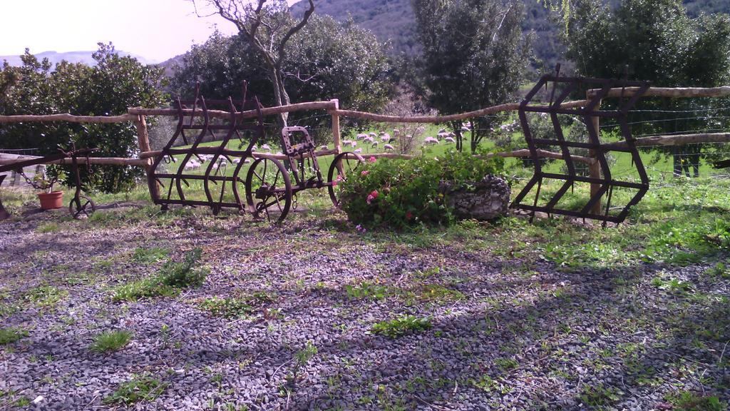 Agriturismo Cugumia Thiesi Exterior photo
